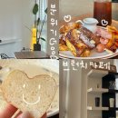 엘 브로테(EL BROTE) 이미지
