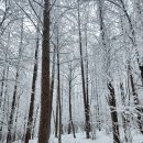 당골 제1화장실 | 태백산 겨울산행 유일사 당골 등산코스 눈꽃산행 강원도 설산