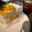 어바웃케이크 | 강남역 디저트 카페 | 썸띵어바웃커피 케이크 맛집 내돈내산 후기