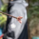 大사랑