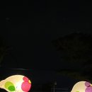 내트럭(주)김해사업소 | 먹고 놀기 좋았던 가을의 날씨를 사랑했던 일상 블로그 / ~ 10월 셋째 주까지