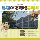 글램독통영 | 통영애견펜션글램독 내돈내산 1박2일 후기