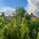 베네호텔 이미지