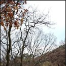 학도암 중 이미지