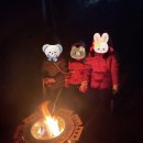 영월본가 이미지