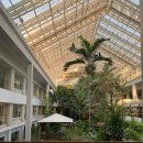 차암교차로 | Relax Spa (파타야 첫째날 찍먹 / 두짓타니 파타야 호텔 체크인 / 온센없는 렛츠 릴렉스 스파 온센점 후기)