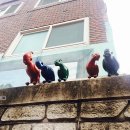 감내카페 벽화 이미지