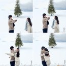 세븐일레븐 유동스타점 | [삿포로❄️] 여행 3일차 후라노비에이투어 만족후기(꿀팁, 정보많음) 크리스마스트리, 준페이, 탁신관, 흰...