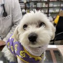 지인동물약품 이미지