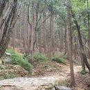 찬물샘 이미지