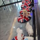 개털깍는 사랑이네 이미지