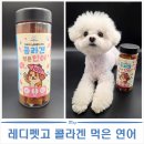 노화마트 | 레디펫고 콜라겐 먹은 연어 강아지 노화방지간식 급여 후기