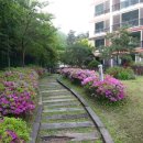 숲속마을 이미지