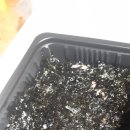 미쓰족발(정관신도시점) 이미지