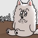 배다골 이미지
