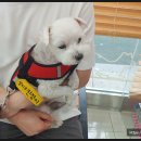 청계종합동물병원 이미지