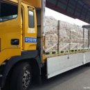 삼양운수 이미지