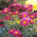 북구청광장 이미지