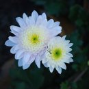 오성에너지 이미지