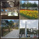 대전 유성구 가볼만한곳｜유성온천족욕장 국립중앙과학관 유림공원 볼거리