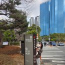 웨이브타운(선셋호텔) | 부산 해운대애견동반호텔 후기 – 선셋호텔 리얼 방문기