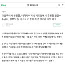 태극타이거 합기도 이미지