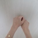 모티브 | [리뷰] 반클리프 5모티브 기요세 구매 후기/ 착샷