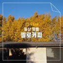 통일로1267번길 | 일산 은행나무 카페 핫플 옐로커피 주차 가격 포토존