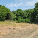 가덕공인중개사사무소 이미지