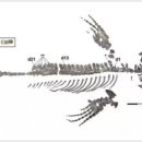 청룡갈비 이미지