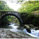 9월30일(목)고창 선운사꽃무릇 학원농장메밀꽃 이미지