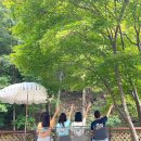 행텐유성홈플러스 | 유잼도시 대전으로 1박 2일 우정여행(유성 브런치카페 유람, 장태산 스테이인터뷰 1박 후기)