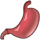 기능성 위장관 질환의 식이관리 이미지