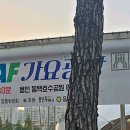 동백호수공원(광장) 이미지