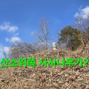 몇곳 차단막땀시 포기와 답사산행.234 이미지