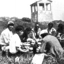 진도초등학교 이미지