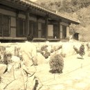 초당방민박