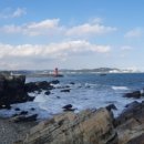 체육관 삼거리 이미지