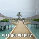 화이트풀빌 | 몰디브여행 신상리조트 &#39;아나네아 마디바루&#39; 방문 후기