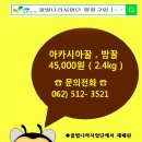 광주북구시니어클럽 자연으로 이미지