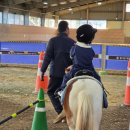 중앙가축동물 도매상 | 아이와 가기 좋은 안성팜랜드 후기｜동물교감, 승마체험, 먹이주기, 놀이터까지