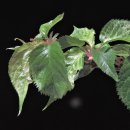 서구-01-103 이미지