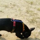 진촌 공중화장실 이미지