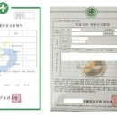 대단한놈들 이미지