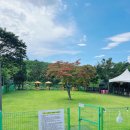 노라도라 이미지