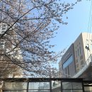 [Review : SIE(시에) 썸미니 루즈 가디건 - 페일민트]
