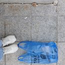 현대미술관 이미지