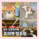 청주고양이카페아이캣유 이미지