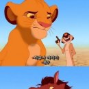 폴레폴레 이미지