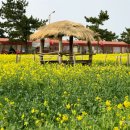 사랑이꽃피는작은도서관 이미지